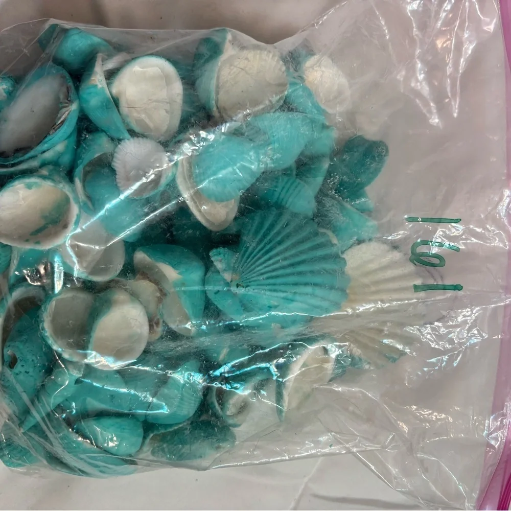 161 Aqua Teal Painted Real Seashells For Decorating Or Center Pieces